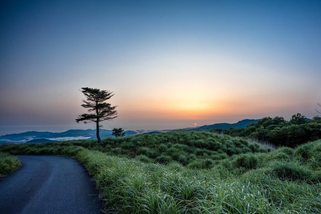 landscape, sunrise, plateau, sea of clouds, text of the original, trees, nature, road, hyogo prefecture, japan
