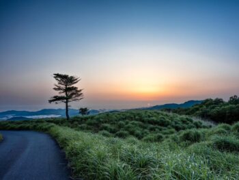 landscape, sunrise, plateau, sea of clouds, text of the original, trees, nature, road, hyogo prefecture, japan